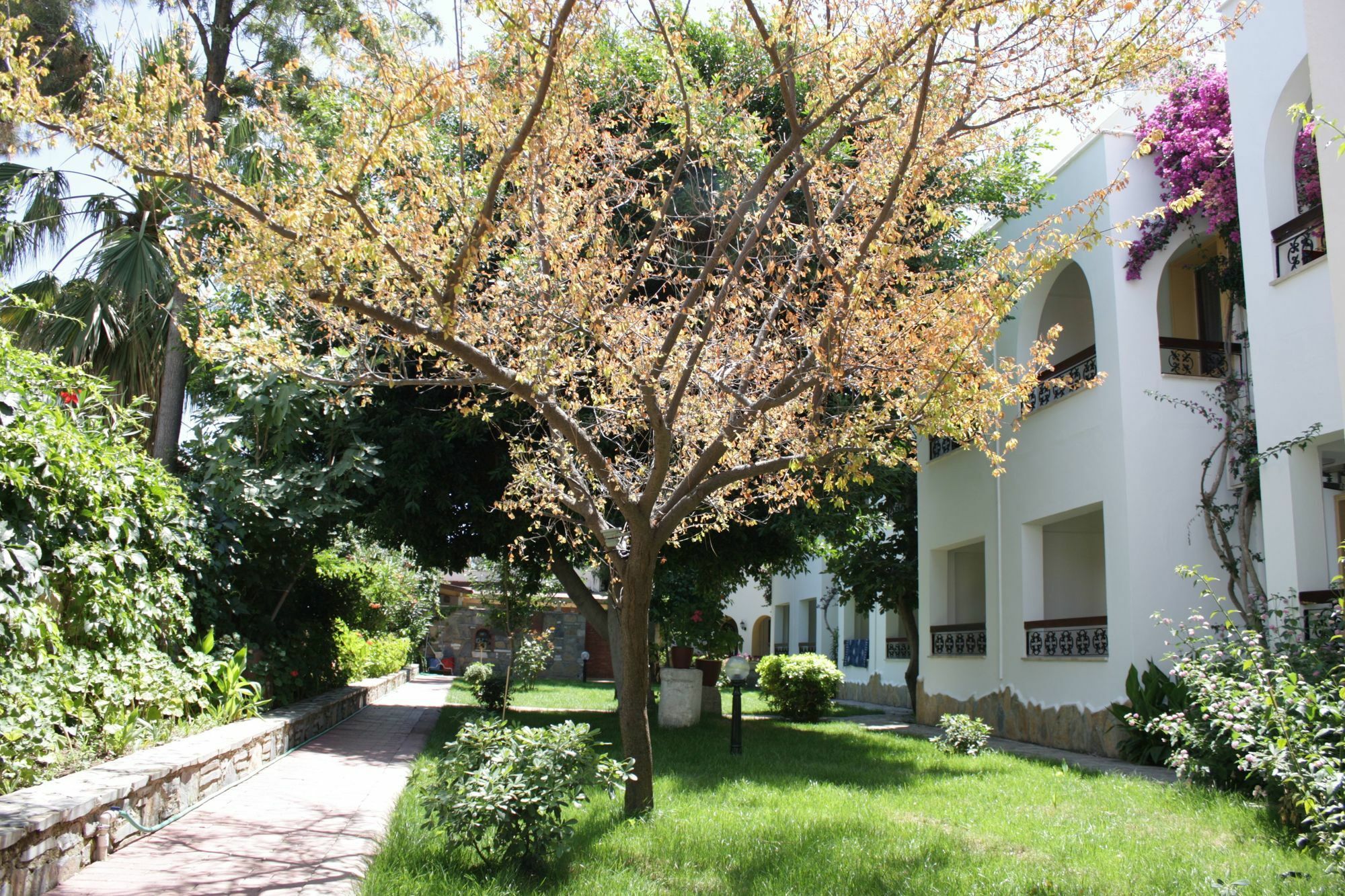 Toloman Hotel Bitez Beach Экстерьер фото